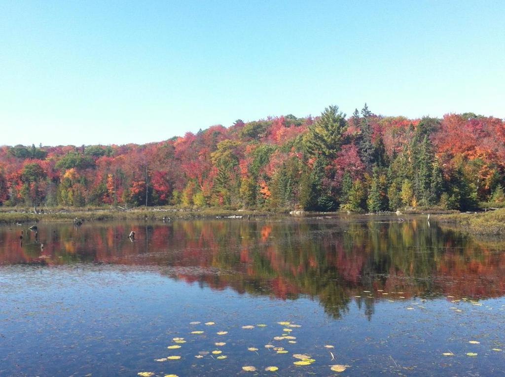 Glenview Cottages Sault Sainte Marie Esterno foto